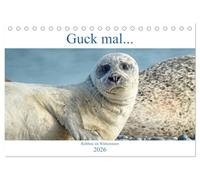 Guck mal ... Robben im Wattenmeer (Tischkalender 2026 DIN A5 quer), CALVENDO Monatskalender: Robben der Nordsee, immer wieder faszinierend und abwechslungsreich