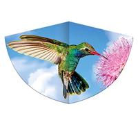 GÜNTHER FLUGSPIELE Paul 1178 - Cometa infantil con diseño de colibrí, insertada lámina polietileno resistente báscula dragón ajustable, para niños a partir 4 años, asa y cuerda, aprox.