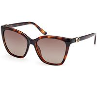 Guess GU00191 C56 52H - Havana oscuro / Havana oscuro