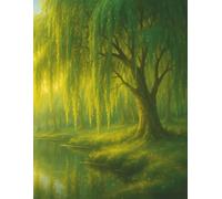 Guest Book - Willow Grove Memories: A keepsake memory space for weddings, baby showers, Airbnbs, parties, and special events