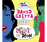 Guetta David Fest. Skylar Grey - Shot Me Down Feat. Skylar Grey