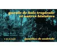 Gueule de bois tropicale et autres histoires: Jonathas de Andrade