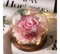 Gugxiom Glass Rose, Eternal Rose con Led, Light up Rose Regalos para Cumpleaños, Día de San Valentín, Navidad (Rosa Cereza)