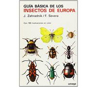 GUIA BASICA DE LOS INSECTOS DE EUROPA: 20 (GUIAS DEL NATURALISTA)