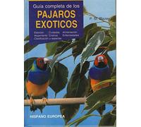 Guía completa de los pájaros exóticos
