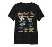 Guía de Especies de Tortugas Marinas Océano Amante Submarino Vida Marina Camiseta Premium