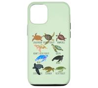 Guía de especies de tortugas marinas Océano amante submarino Vida marina Carcasa para iPhone 12/12 Pro