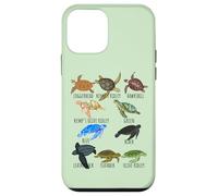 Guía de especies de tortugas marinas Océano amante submarino Vida marina Carcasa para iPhone 12 mini