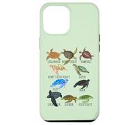 Guía de especies de tortugas marinas Océano amante submarino Vida marina Carcasa para iPhone 12 Pro Max