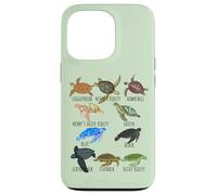 Guía de especies de tortugas marinas Océano amante submarino Vida marina Carcasa para iPhone 13 Pro
