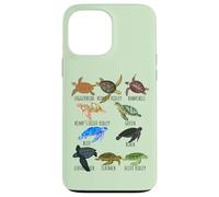 Guía de especies de tortugas marinas Océano amante submarino Vida marina Carcasa para iPhone 13 Pro Max