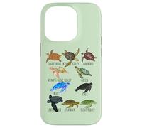 Guía de especies de tortugas marinas Océano amante submarino Vida marina Carcasa para iPhone 14 Pro