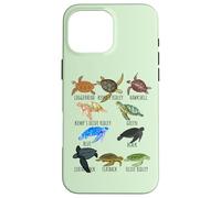 Guía de especies de tortugas marinas Océano amante submarino Vida marina Carcasa para iPhone 16 Pro Max