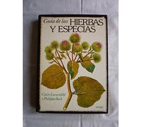 GUIA DE LAS HIERBAS Y ESPECIAS (GUIAS DEL NATURALISTA-PLANTAS MEDICINALES, HIERBAS Y HERBORISTERÍA)