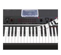 Guía de notas de piano, etiquetas extraíbles de silicona para teclado de piano 88/76/61/54/49/37, tiras de notas de piano, letras grandes multicolor para principiantes, reutilizables y viene con caja
