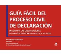 Guía fácil del proceso civil de declaración