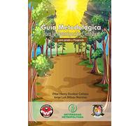 Guía Metodológica para la Investigación Científica: para grado y Posgrado