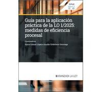 GUIA PARA LA APLICACION PRACTICA DE LA LO 1;2025: MEDIDAS DE EFICIENCIA PROCESAL