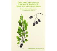 Guia Para Reconocer Árboles Y Arbustos Caducifolios En Invierno