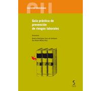 Guía Práctica De Prevención De Riesgos Laborales