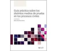 Guía Práctica Sobre Los Distintos Medios De Prueba En Los Procesos Civiles