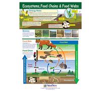 Guías de aprendizaje visual para cadenas de alimentos y redes de comida, set de 5 - 4 paneles, guías laminadas de 11 x 17 pulgadas, visión gráfica a todo color, actividades de escritura y borrado