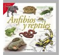 Guías De Campo - Anfibios Y Reptiles (ebook)