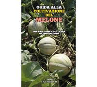Guida alla Coltivazione del Melone: Impara come coltivare ottimo Melone