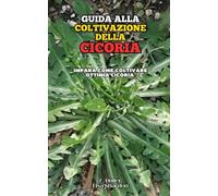 Guida alla Coltivazione della Cicoria: Impara come coltivare ottima Cicoria