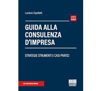 Guida alla consulenza d'impresa. Strategie strumenti e casi pratici (Professionisti & Imprese)