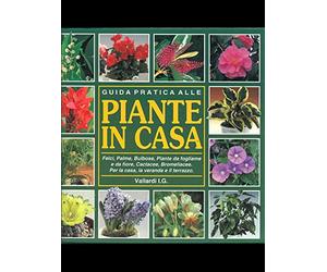 Guida Pratica Alle Piante in Casa [Italia] [DVD]