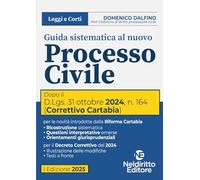 Guida sistematica al nuovo processo civile aggiornato al Decreto Correttivo Cartabia D.Lgs. 31 ottobre 2024, n. 164