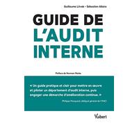 Guide De L Audit Interne : Défis Et Enjeux Théorie Et Pratique