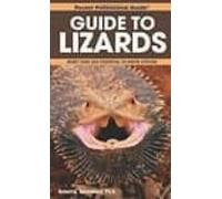 Guide To Lizards: More Than 300 Essential-to-know Species