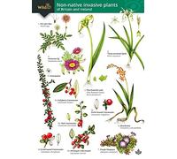 Guide to the non-native invasive plants of Britain and Ireland