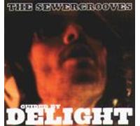 Guided By Light [Vinilo]