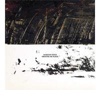 Guided By Voices - Sweating the Plague [Vinilo]