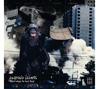Guiding Lights - New Ways To Feel Bad