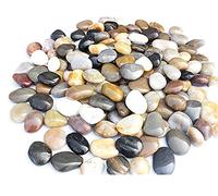 Guijarros Decorativos naturales Piedras decorativas pulidas Guijarros naturales Grava para piedras de jardín 2-4 cm 900g Guijarros jardín / Acuarios / Decoración de plantas