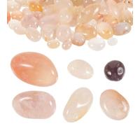 Guijarros Naturales para Acuario de Tortugas, 500g, Piedra | Guijarros para Jarrones y Macetas, Drenaje para Bonsái y Suculentas, Superficie Porosa, Bordes Suaves