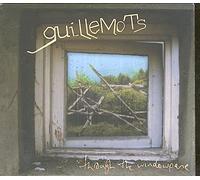Guillemots - Through the Window Pane