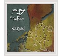 Guinea Pigs on a Scaffold