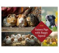 Guinea Pigs with Happy Squeal (Wall Calendar 2026 DIN A2 landscape), CALVENDO 12 Month Wall Calendar: Guinea pigs - small fluffy balls, big personalities