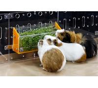 GuineaLoft™ Hop-Stop Harmony Feeder Yellow - Alimentador innovador pendiente de patente diseñado y fabricado por propietarios experimentados que probaron todo por ahí - Exclusivo Guinea Loft