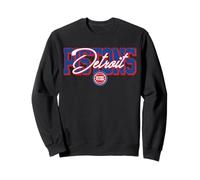 Guión taquillero de la NBA - Detroit Pistons Sudadera