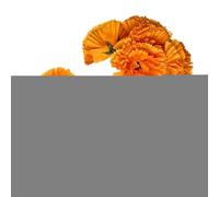 Guirnalda de flores de caléndula LED - Funciona pilas, fácil decorar, colores vivos, de larga duración | preocupaciones luminosas decorativas para Diwali, Día de los Muertos, Casa, Jardín, Religioso y