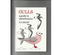 Gulls: A Guide to Identification