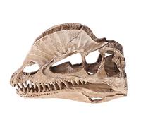 GUMEI Dilophosaurus Dinosaurio cráneo Resina artesanías Esqueleto fósil Modelo de enseñanza Halloween decoración de Oficina en casa