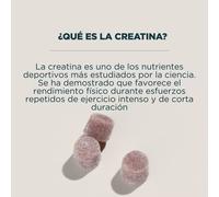 Gummies de creatina - 21 GUMMIES - 7raciones - Frambuesa