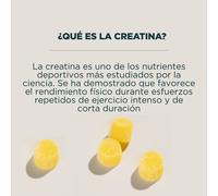 Gummies de creatina - 21 GUMMIES - 7raciones - Limón